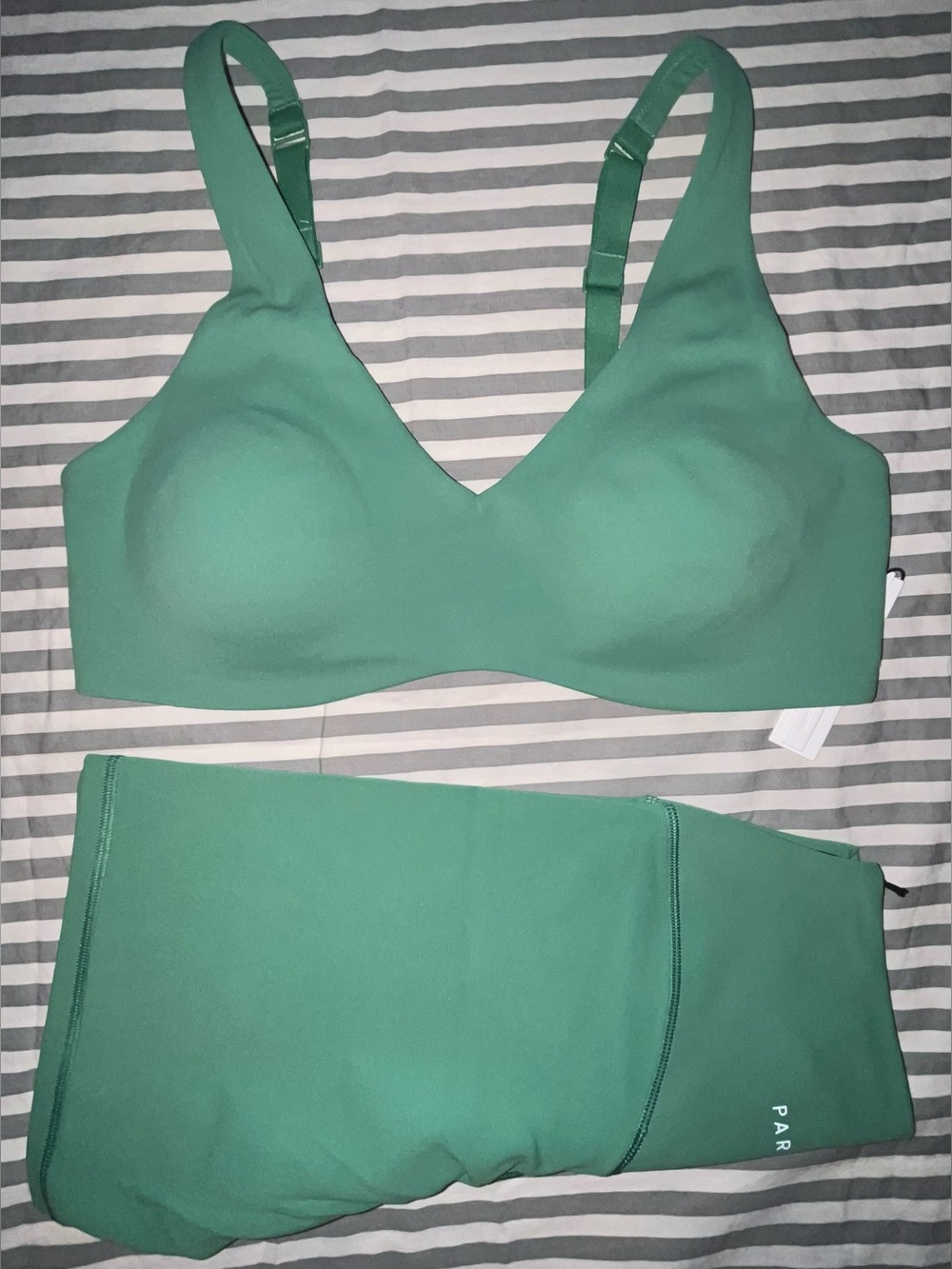 Paragon FormLux Sculptseam Plus Shorts + Curve LiteSculpt Top Avocado Sz M